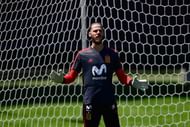 FBL-WC-2018-ESP-TRAINING